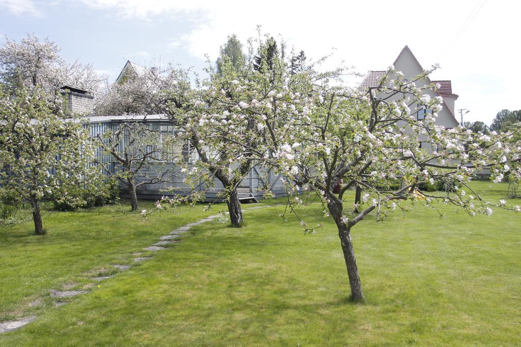 Villa Marleen Pärnu Eksteriør bilde